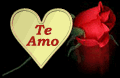 TA AMOR